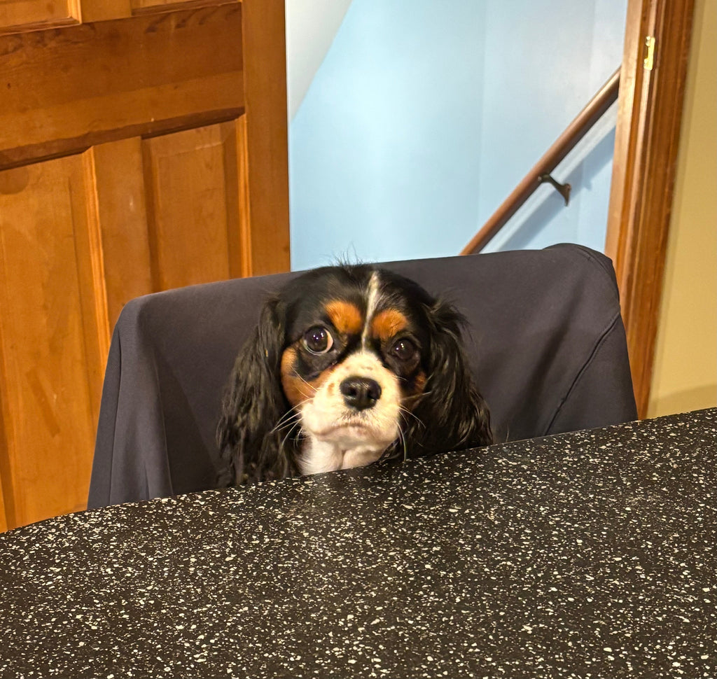 Celeste Oliva Store Hours and WIND